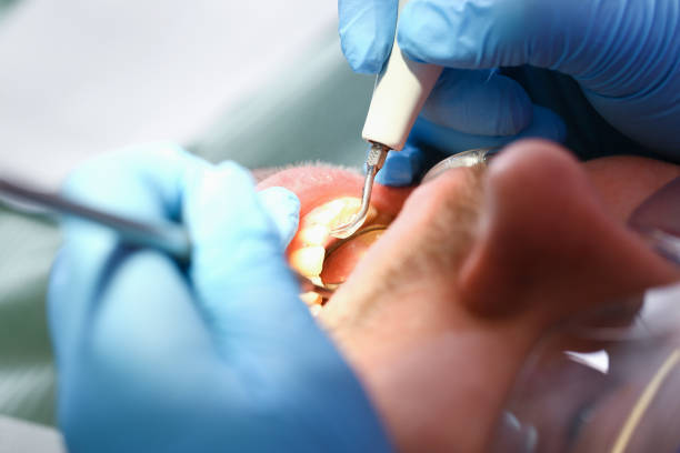 Best Urgent Dental Care  in Marcellus, MI