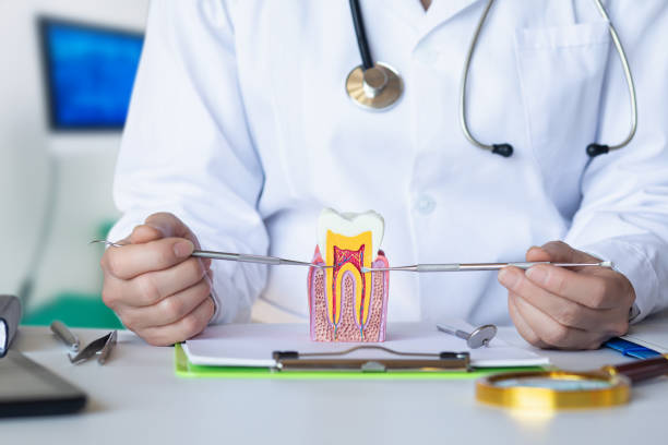 Best Tooth Infection Emergency Dentist  in Marcellus, MI